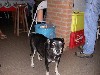 DSCN3907.JPG