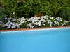 DSCN4805.JPG
