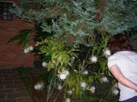 DSCN6453.jpg